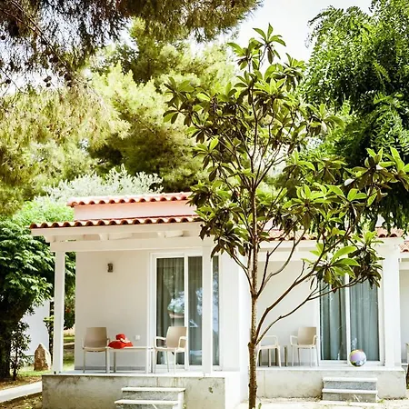Mimoza Beach-3